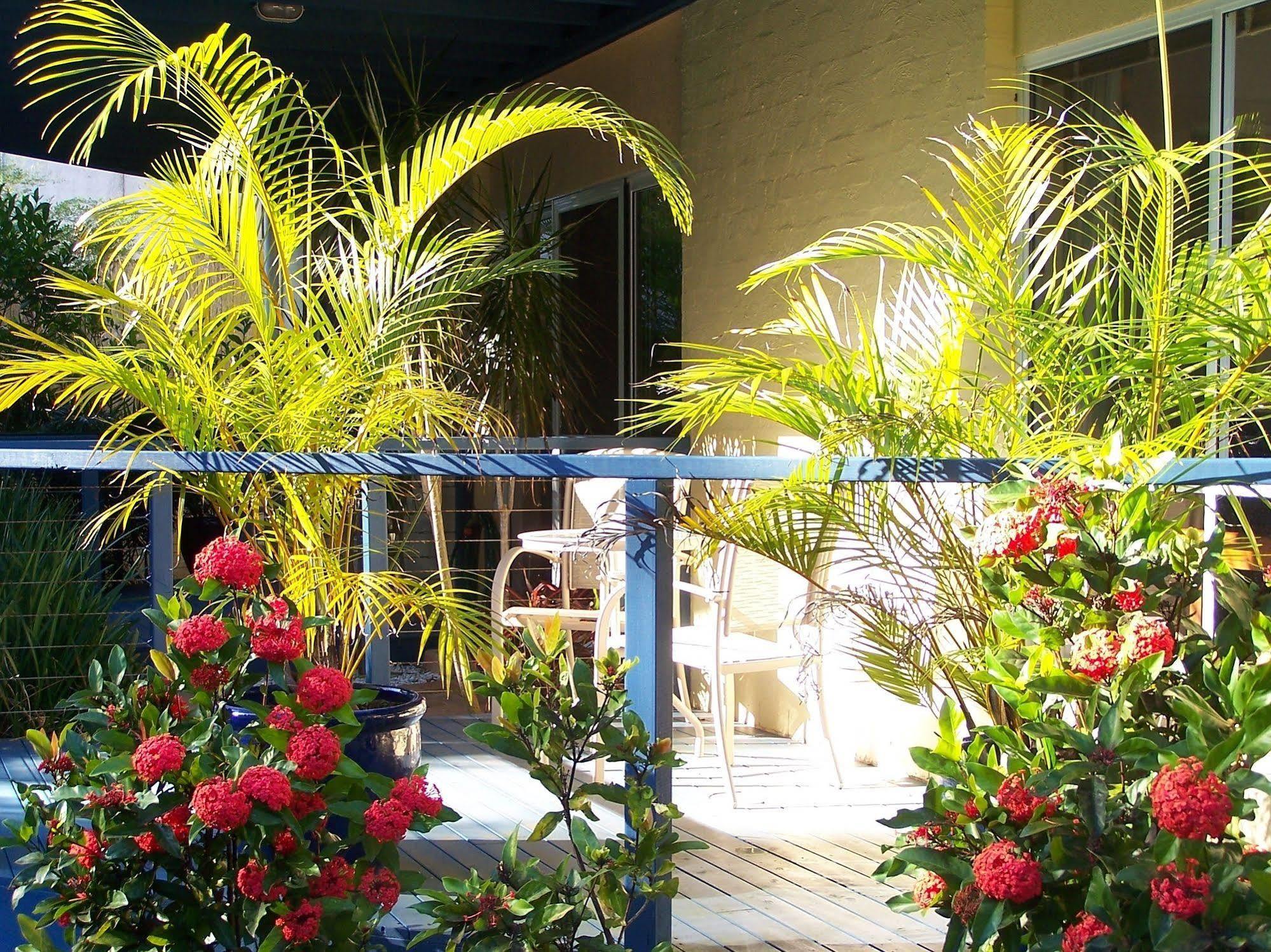 Azura Beach House B&B Port Macquarie Luaran gambar
